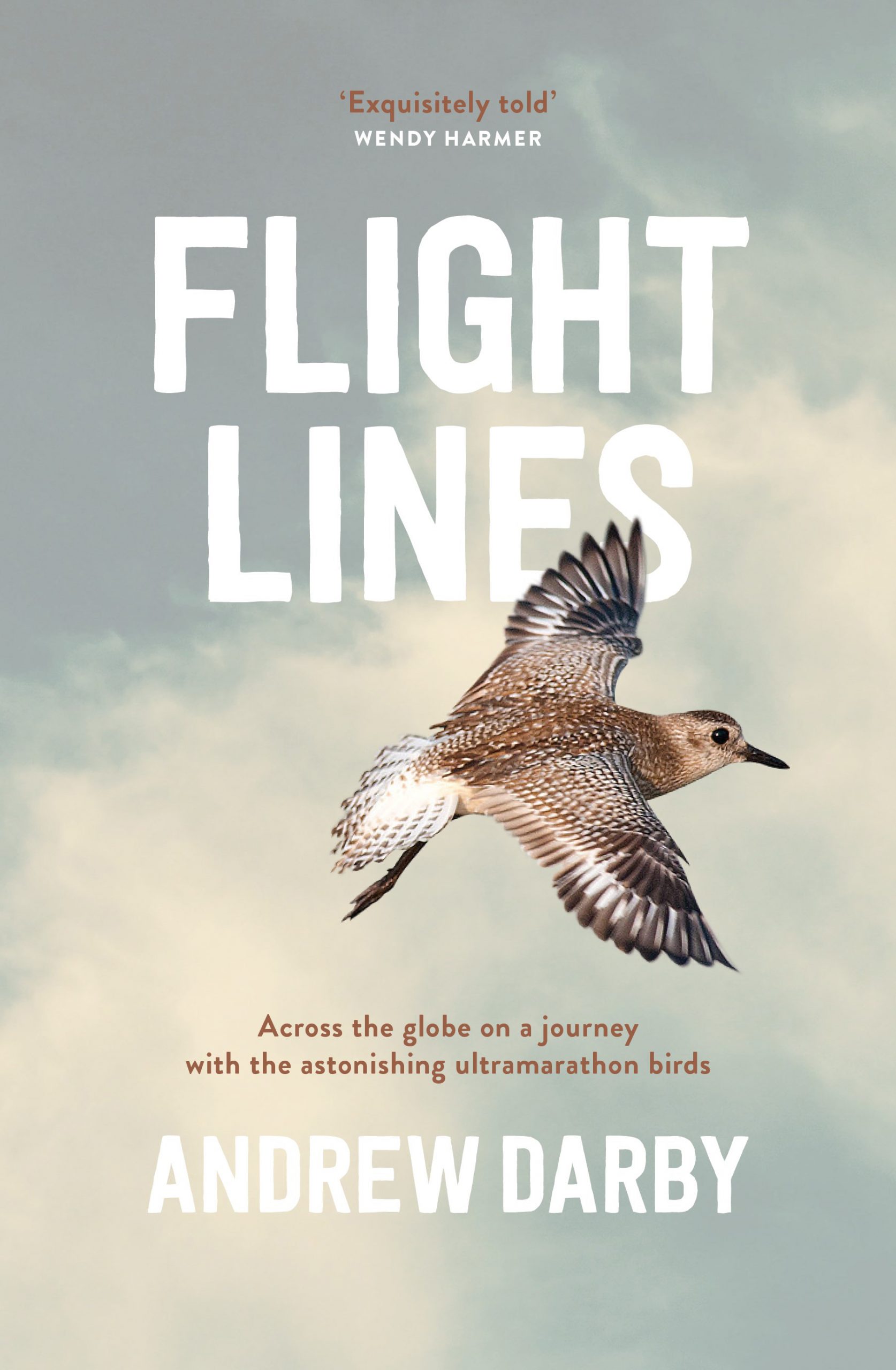 Flight Lines - Across the globe on a journey with the astonishing ultramarathon birds by Andrew Darby