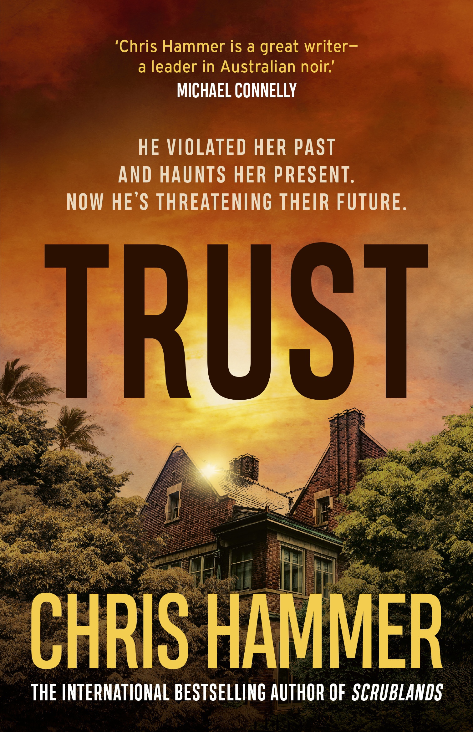 Trust by Chris Hammer - Our Review
