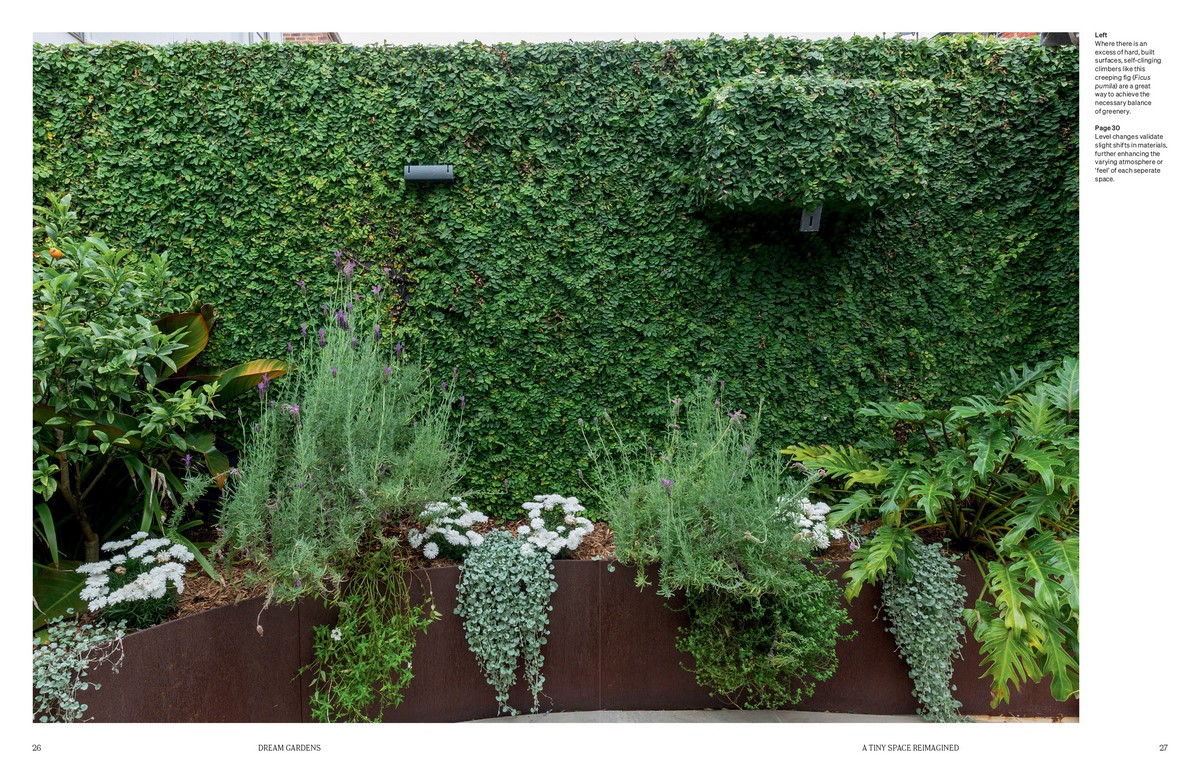 Dream Gardens by Michael McCoy (Hardback) - Image 4