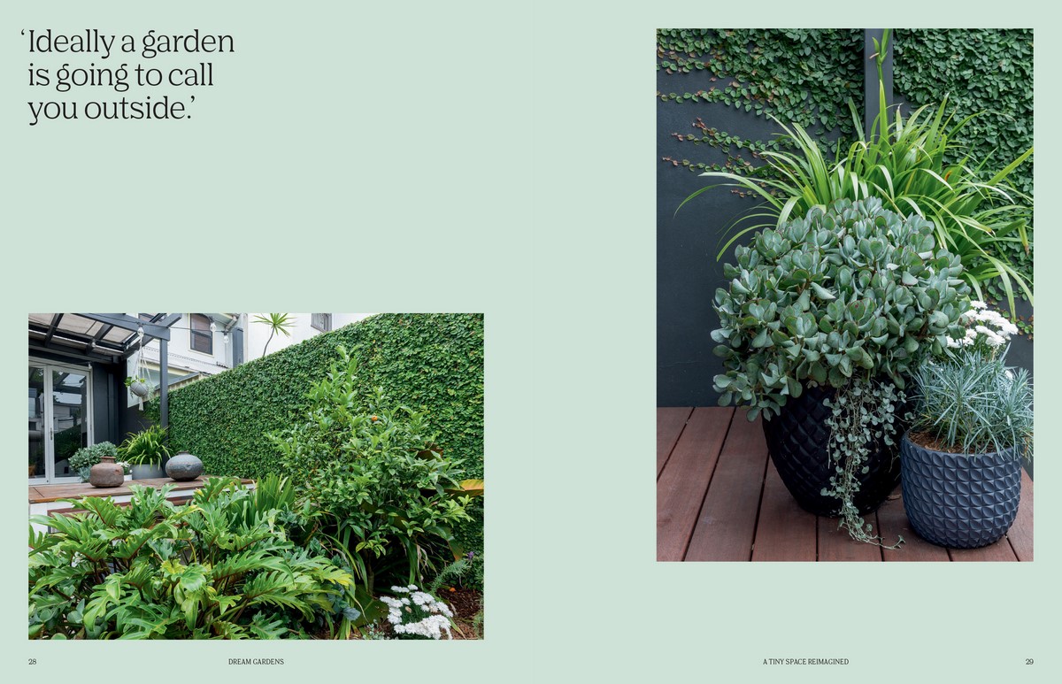 Dream Gardens by Michael McCoy (Hardback) - Image 5