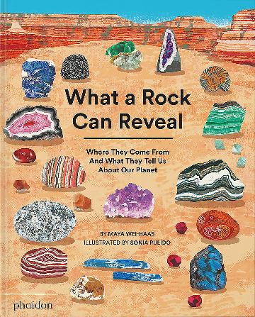 What a Rock Can Reveal: Where They Come From and What They Tell Us About Our Planet by Maya Wei-Hass - Our Review