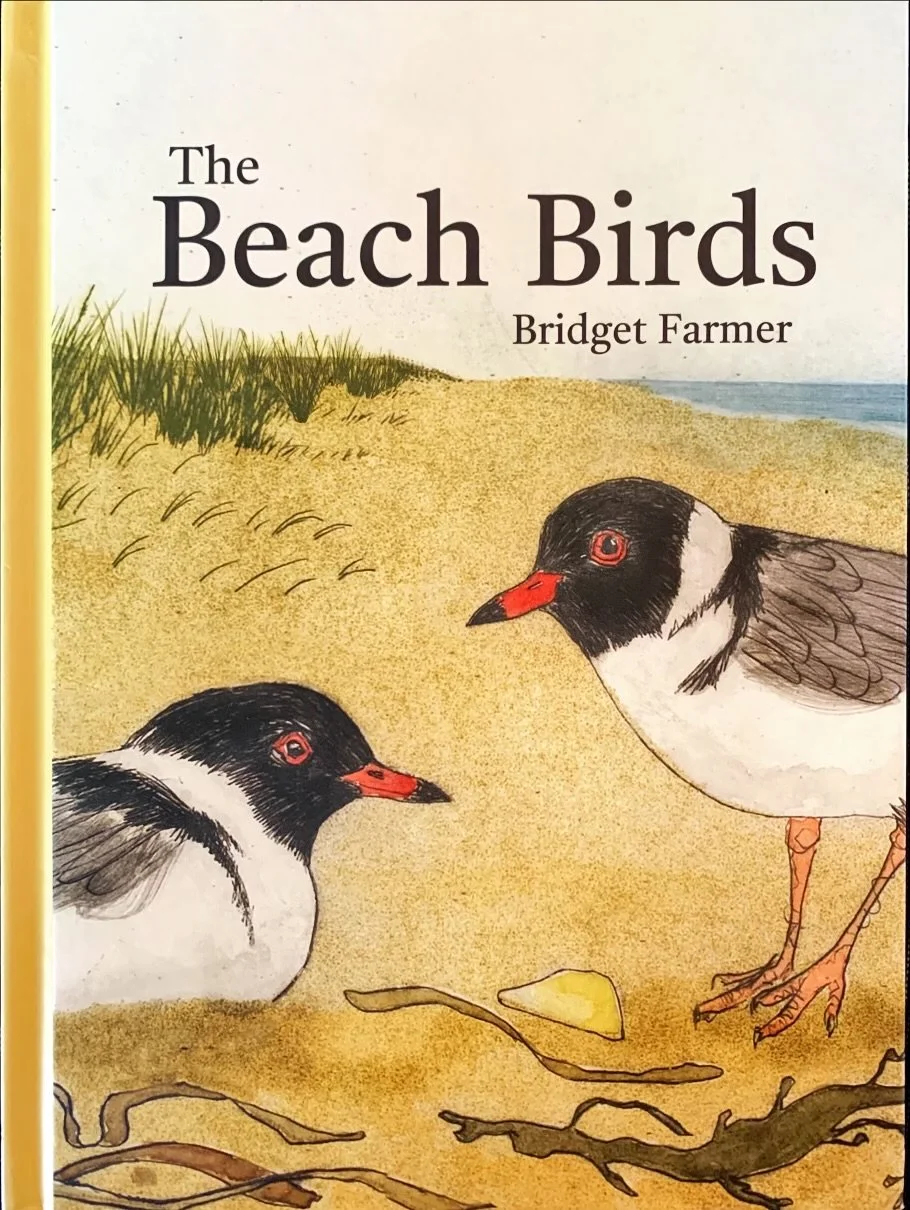 The Beach Birds by Bridget Farmer